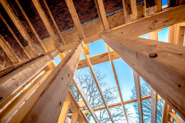 Construction d'une maison en bois avec poutres